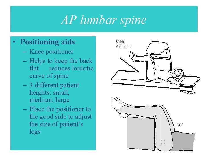 AP lumbar spine • Positioning aids: – Knee positioner – Helps to keep the