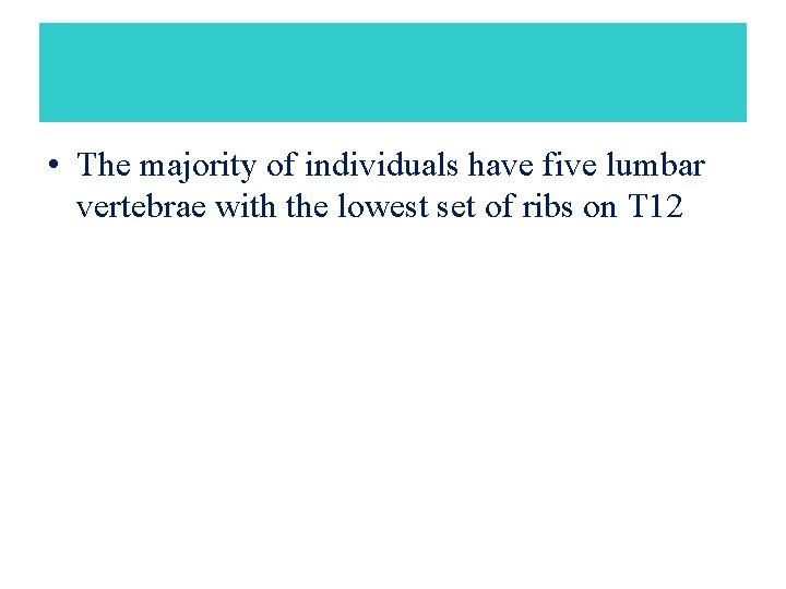  • The majority of individuals have five lumbar vertebrae with the lowest set
