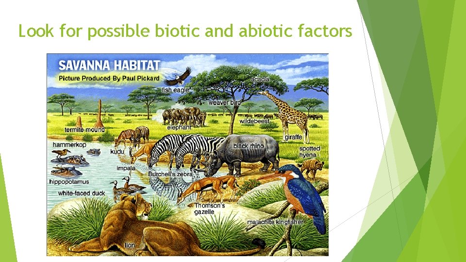 Look for possible biotic and abiotic factors 