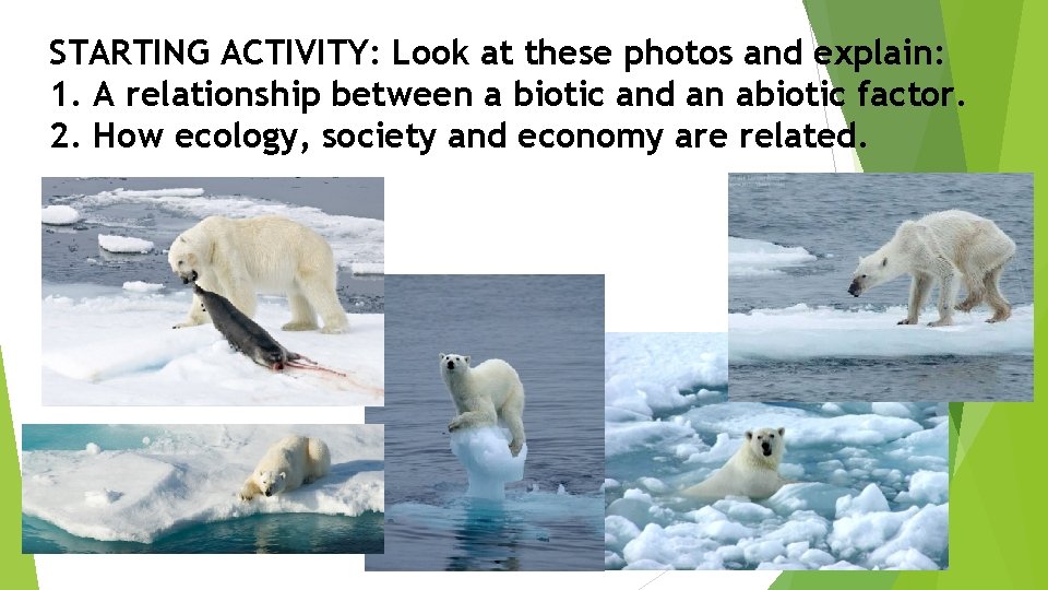 STARTING ACTIVITY: Look at these photos and explain: 1. A relationship between a biotic