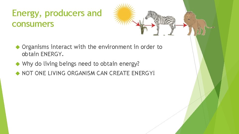 Energy, producers and consumers Organisms interact with the environment in order to obtain ENERGY.