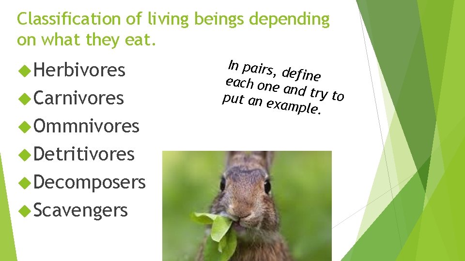 Classification of living beings depending on what they eat. Herbivores Carnivores Ommnivores Detritivores Decomposers