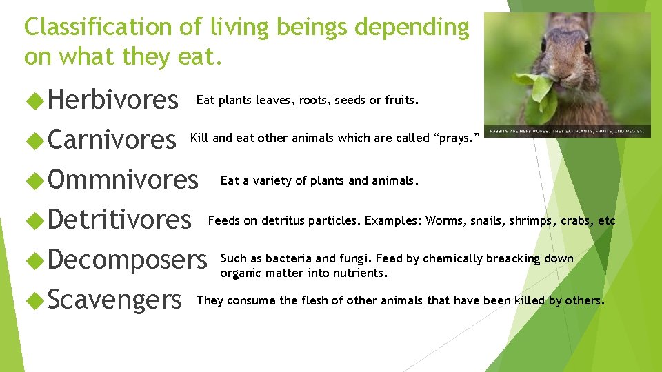 Classification of living beings depending on what they eat. Herbivores Carnivores Eat plants leaves,