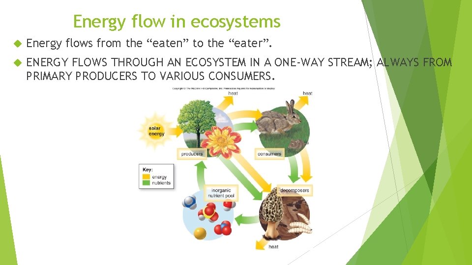 Energy flow in ecosystems Energy flows from the “eaten” to the “eater”. ENERGY FLOWS