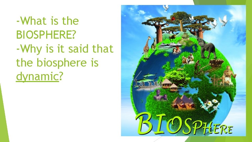 -What is the BIOSPHERE? -Why is it said that the biosphere is dynamic? 