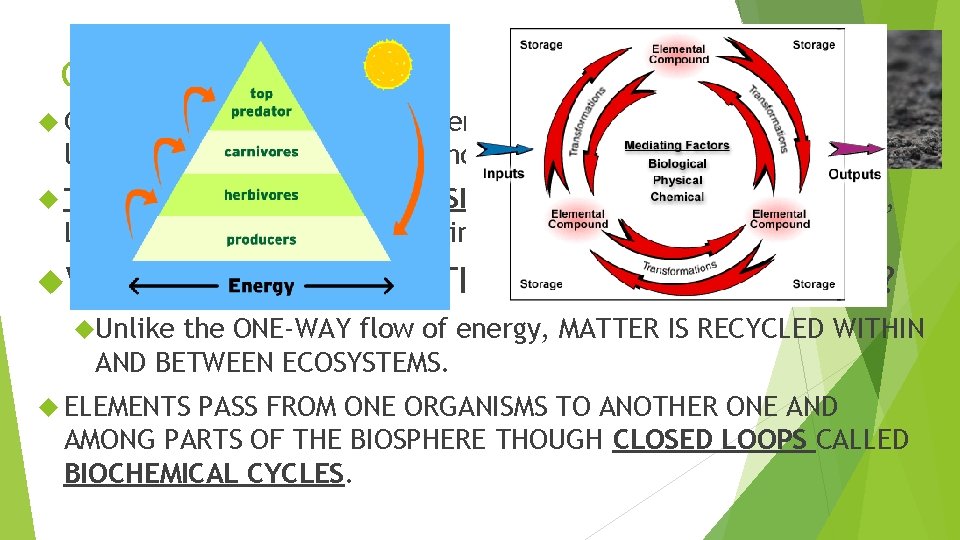 CYCLES OF MATTER C, H, N and O are the basic elements that form