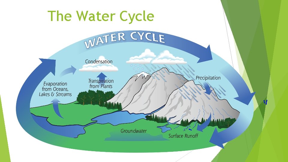 The Water Cycle 