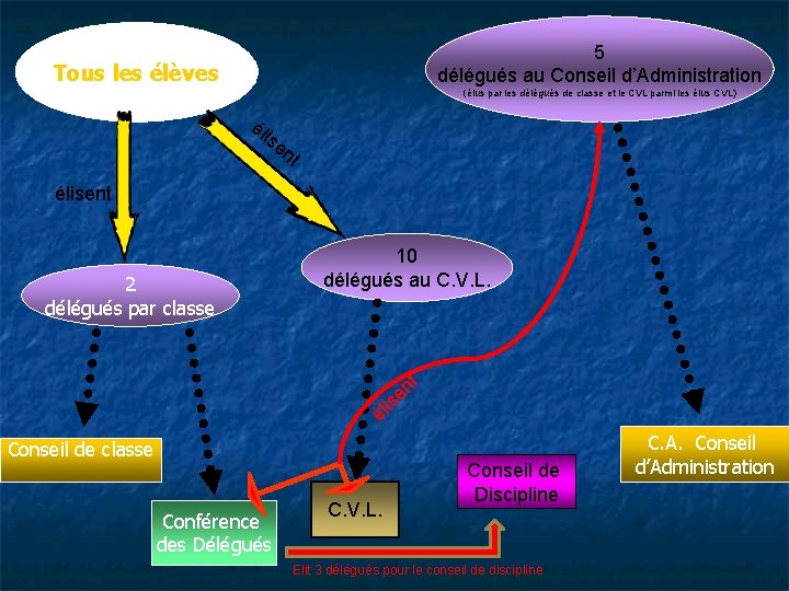 5 délégués au Conseil d’Administration Tous les élèves (élus par les délégués de classe