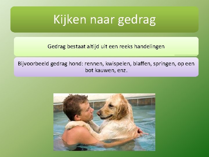 Kijken naar gedrag Gedrag bestaat altijd uit een reeks handelingen Bijvoorbeeld gedrag hond: rennen,