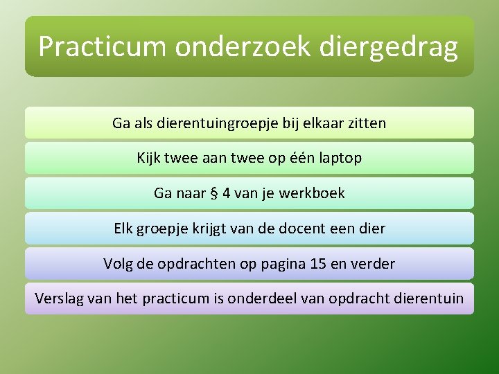 Practicum onderzoek diergedrag Ga als dierentuingroepje bij elkaar zitten Kijk twee aan twee op
