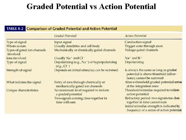 Graded Potential vs Action Potential 
