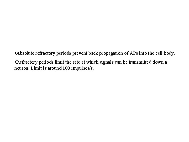  • Absolute refractory periods prevent back propagation of APs into the cell body.