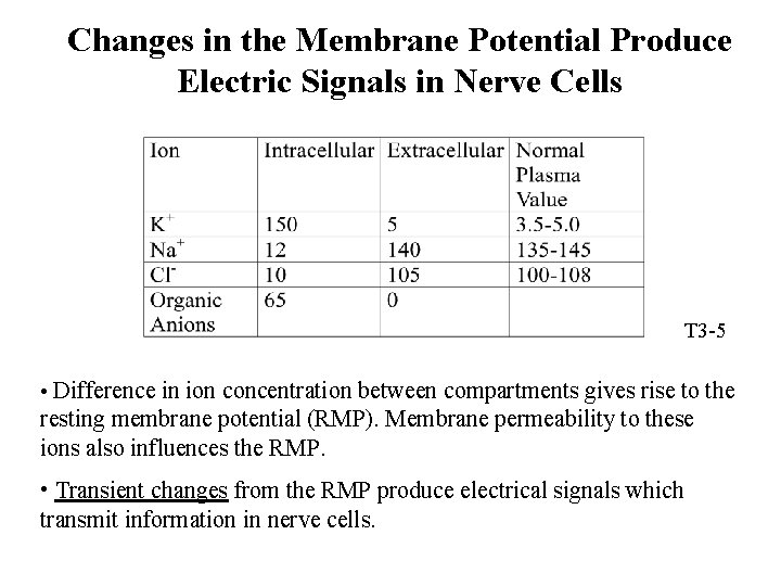 Changes in the Membrane Potential Produce Electric Signals in Nerve Cells T 3 -5