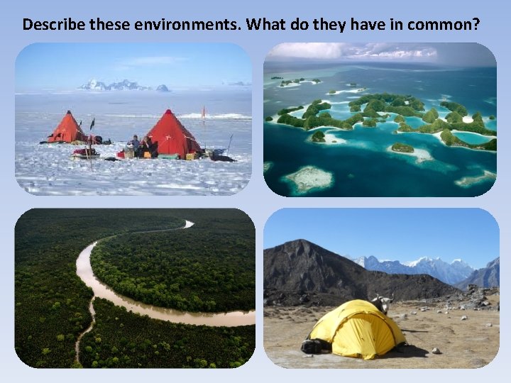 Describe these environments. What do they have in common? 