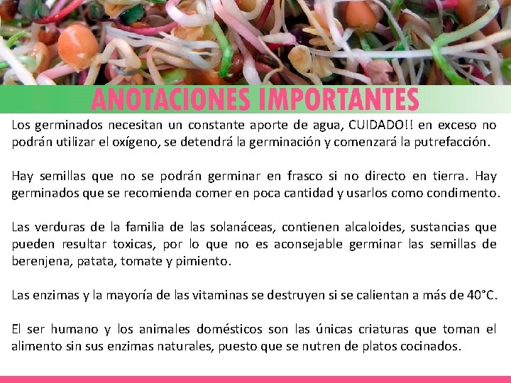 Los germinados necesitan un constante aporte de agua, CUIDADO!! en exceso no podrán utilizar