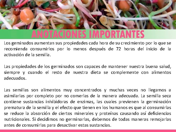 Los geminados aumentan sus propiedades cada hora de su crecimiento por lo que se