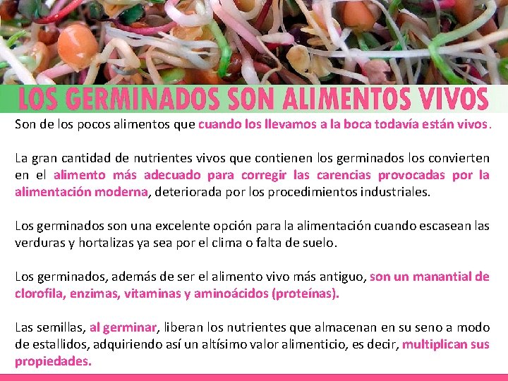 Son de los pocos alimentos que cuando los llevamos a la boca todavía están