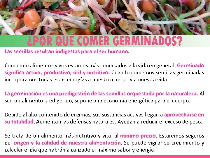 Las semillas resultan indigestas para el ser humano. Comiendo alimentos vivos estamos más conectados