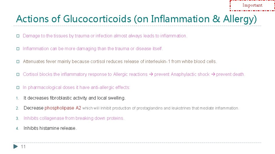 Important Actions of Glucocorticoids (on Inflammation & Allergy) � Damage to the tissues by