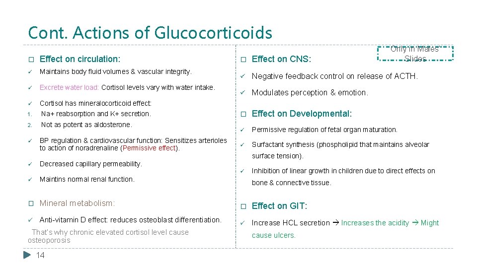 Cont. Actions of Glucocorticoids � Effect on circulation: ü Maintains body fluid volumes &