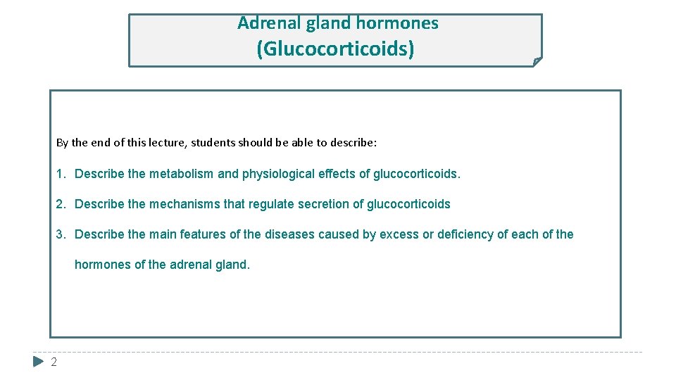 Adrenal gland hormones (Glucocorticoids) By the end of this lecture, students should be able