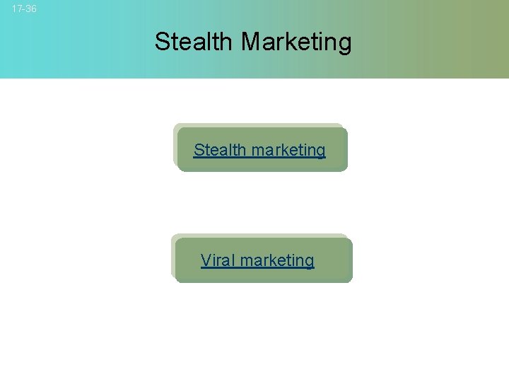 17 -36 Stealth Marketing Stealth marketing Viral marketing © 2007 Mc. Graw-Hill Companies, Inc.