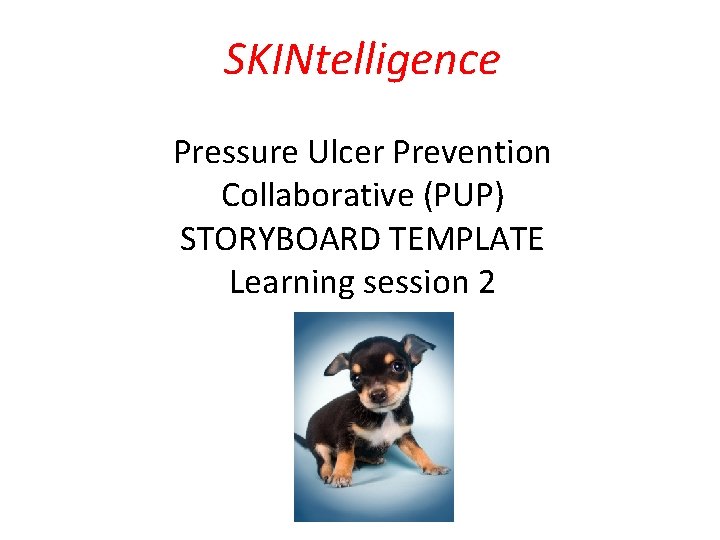 SKINtelligence Pressure Ulcer Prevention Collaborative (PUP) STORYBOARD TEMPLATE Learning session 2 