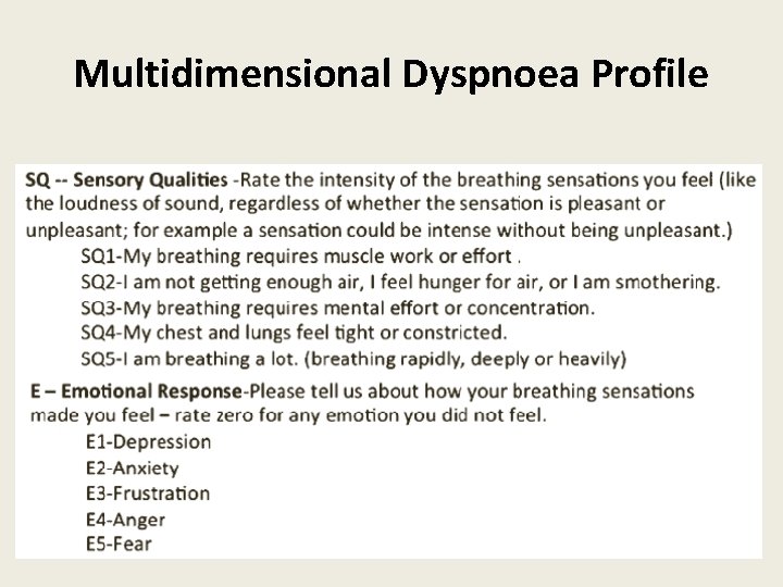 Multidimensional Dyspnoea Profile 