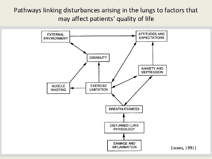 Pathways linking disturbances arising in the lungs to factors that may affect patients' quality