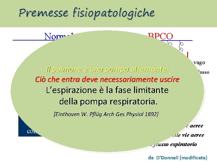 Premesse fisiopatologiche Normale BPCO n. vago PL PL Flusso Il polmone è una pompa