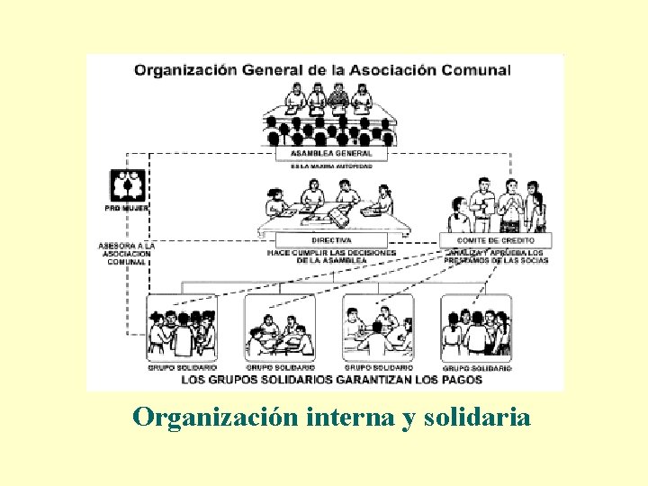 Organización interna y solidaria 