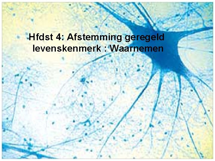 Hfdst 4: Afstemming geregeld levenskenmerk : Waarnemen 