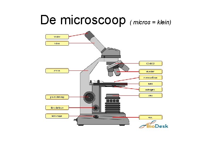De microscoop ( micros = klein) 