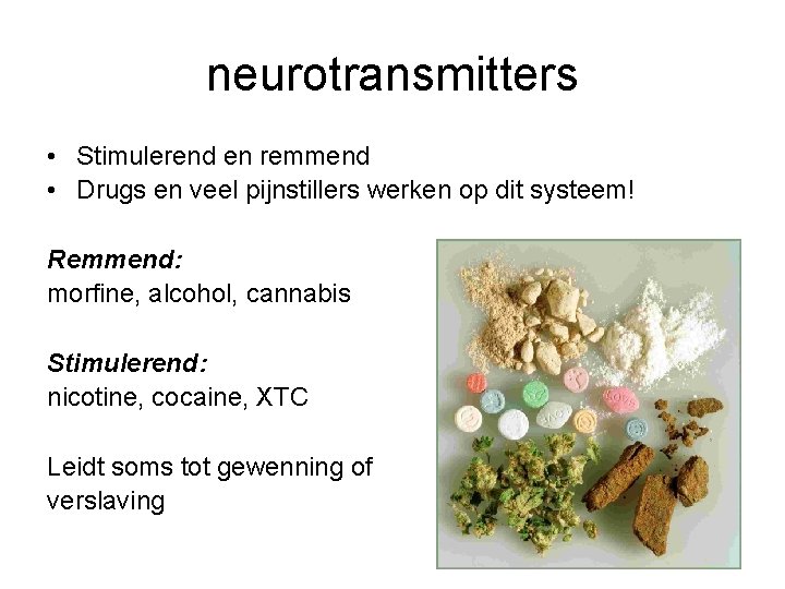 neurotransmitters • Stimulerend en remmend • Drugs en veel pijnstillers werken op dit systeem!