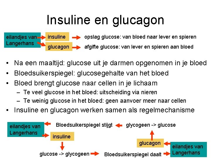 Insuline en glucagon eilandjes van Langerhans insuline opslag glucose: van bloed naar lever en