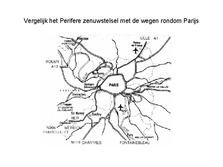 Vergelijk het Perifere zenuwstelsel met de wegen rondom Parijs 
