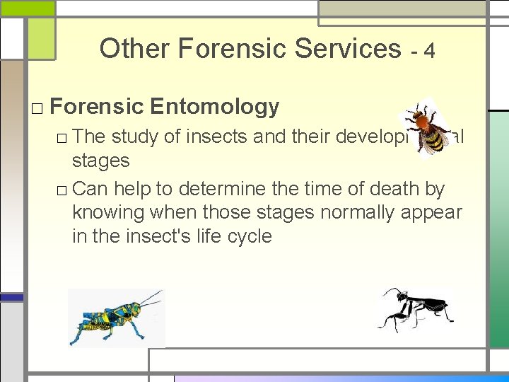 Other Forensic Services - 4 □ Forensic Entomology □ The study of insects and