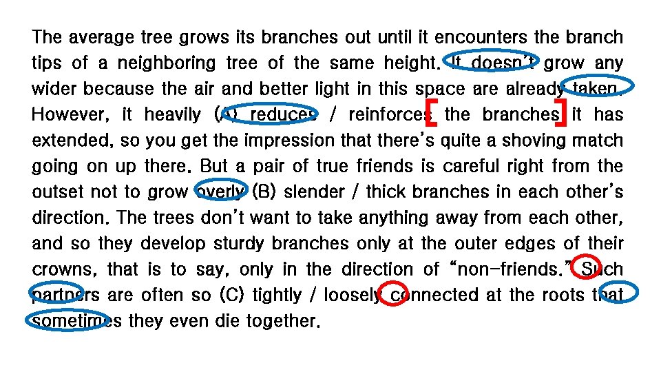 The average tree grows its branches out until it encounters the branch tips of
