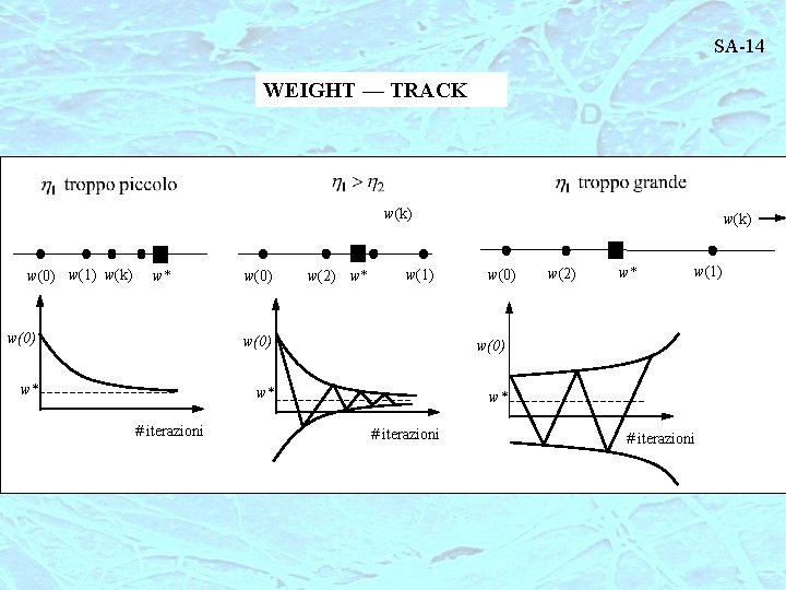 SA-14 WEIGHT — TRACK w(k) w(0) w(1) w(k) w* w(0) w(2) w* w(1) w(k)