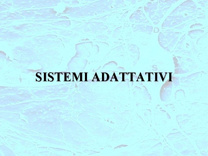 SISTEMI ADATTATIVI 