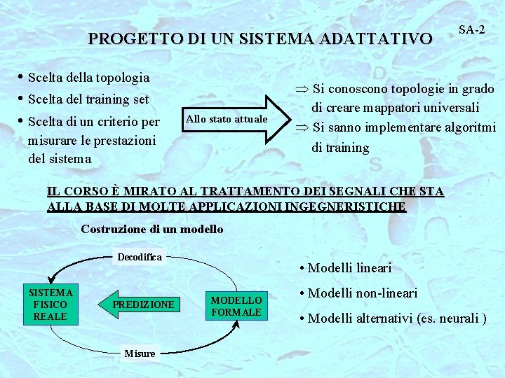 PROGETTO DI UN SISTEMA ADATTATIVO • Scelta della topologia • Scelta del training set