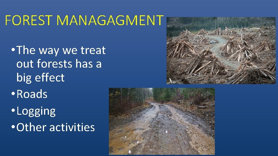 FOREST MANAGAGMENT • The way we treat out forests has a big effect •