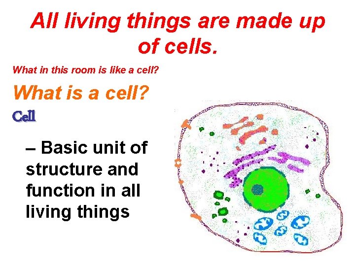 All living things are made up of cells. What in this room is like