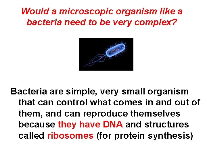 Would a microscopic organism like a bacteria need to be very complex? Bacteria are
