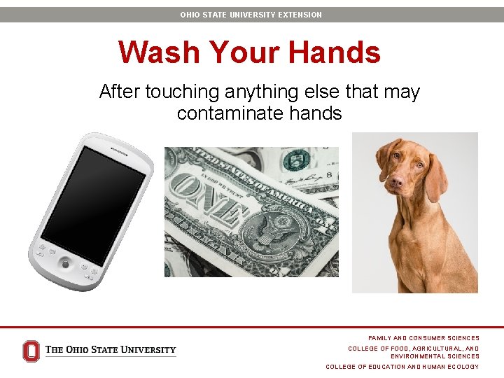 OHIO STATE UNIVERSITY EXTENSION Wash Your Hands After touching anything else that may contaminate