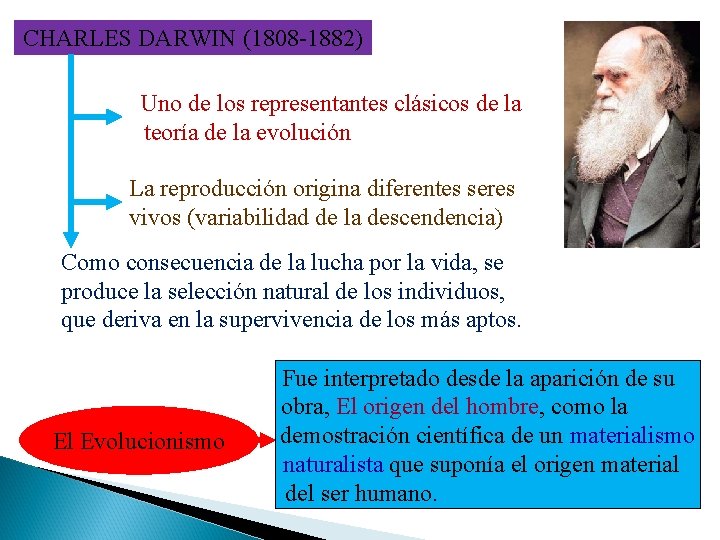 CHARLES DARWIN (1808 -1882) Uno de los representantes clásicos de la teoría de la