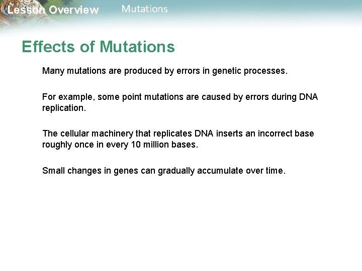 Lesson Overview Mutations Effects of Mutations Many mutations are produced by errors in genetic