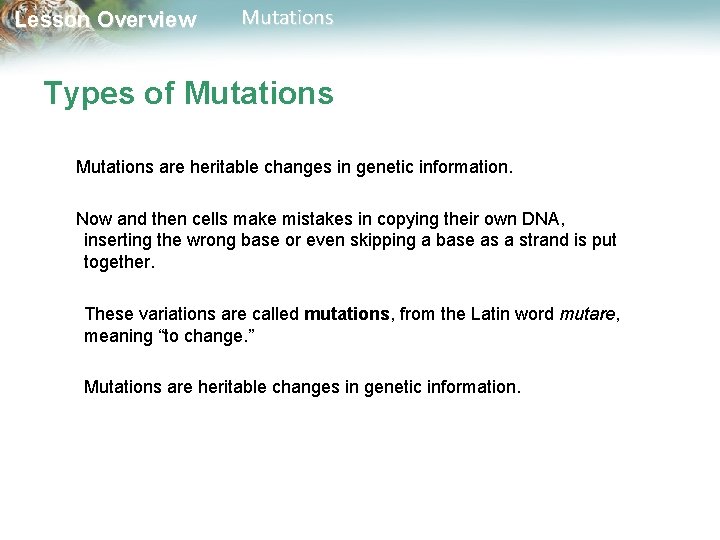 Lesson Overview Mutations Types of Mutations are heritable changes in genetic information. Now and