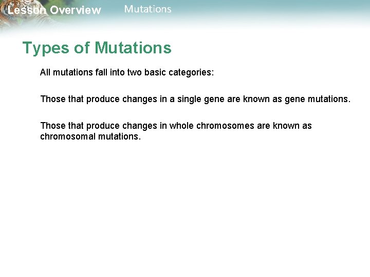 Lesson Overview Mutations Types of Mutations All mutations fall into two basic categories: Those