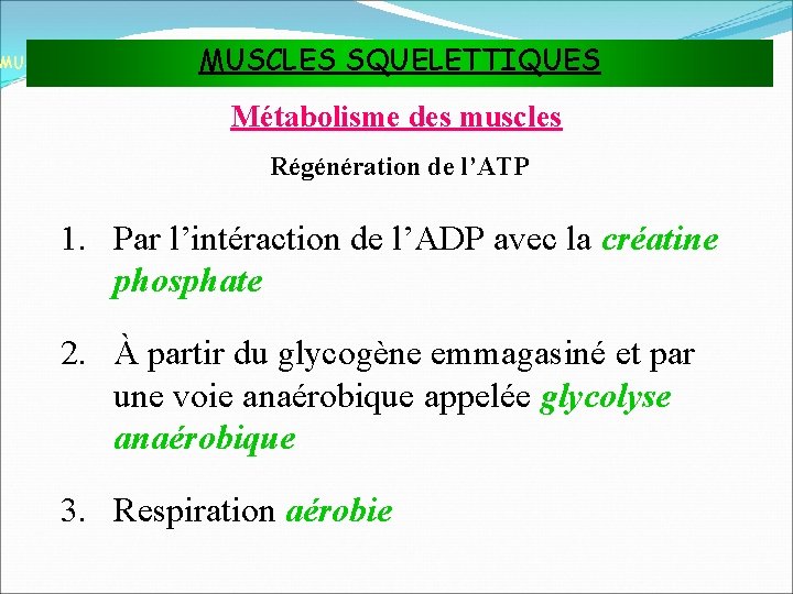 MUSCLES SQUELETTIQUES MUSCLES ET TISSU MUSCULAIRE Métabolisme des muscles Régénération de l’ATP 1. Par